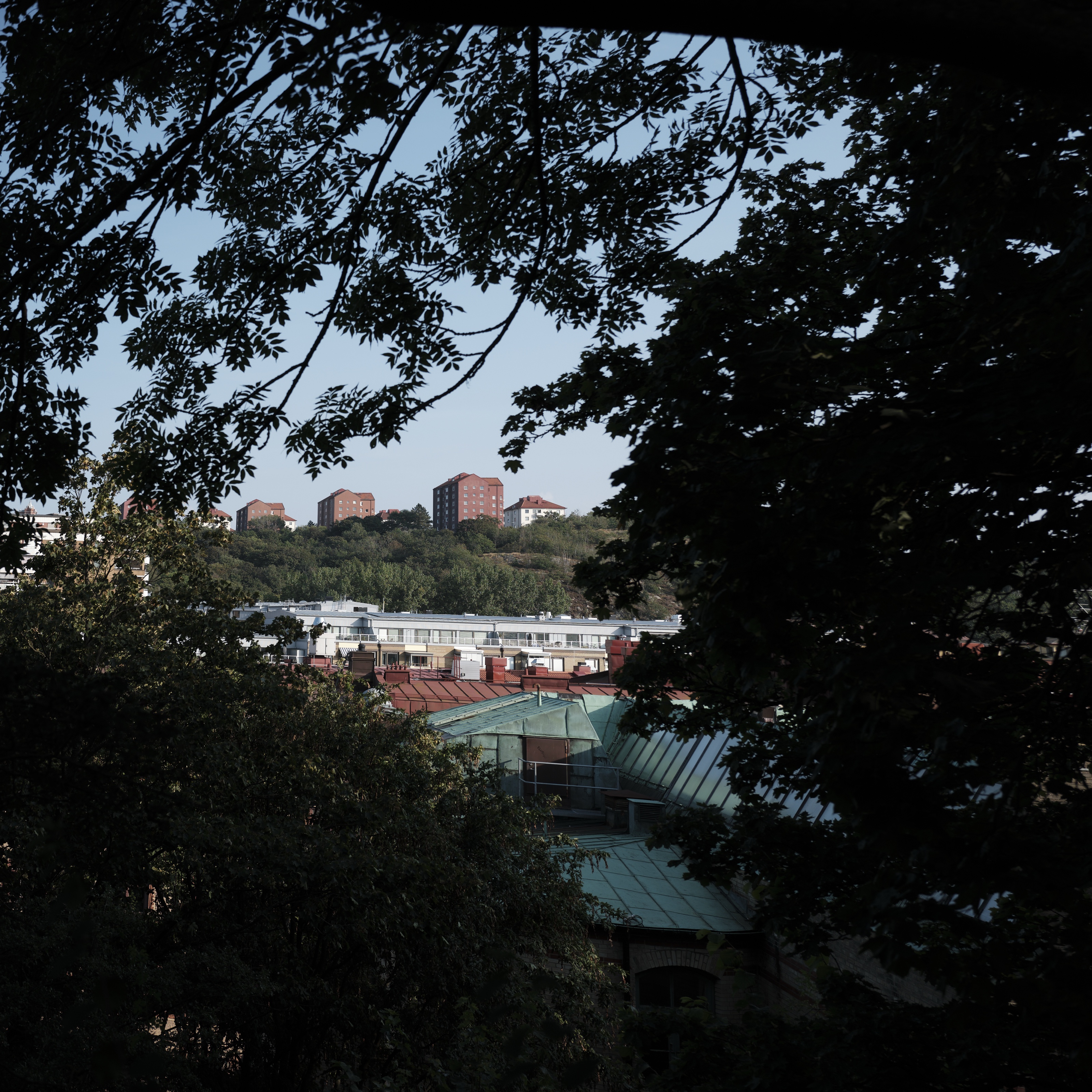 Gotherborg 2 — photograph 25 of 28 by Damiano Cerrone