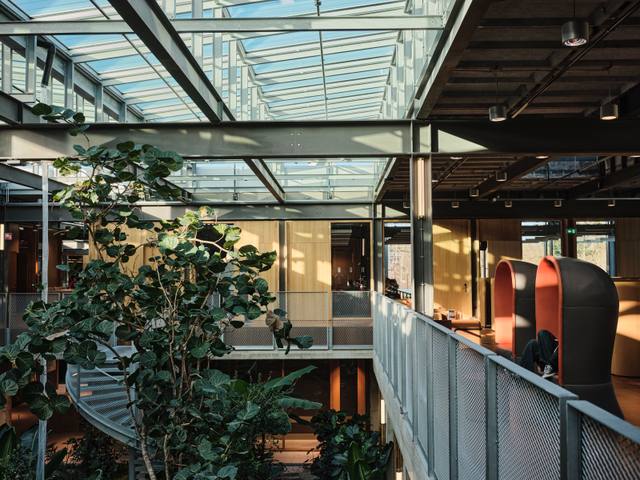 Enschede-Bergen — photograph 8 of 15 by Damiano Cerrone